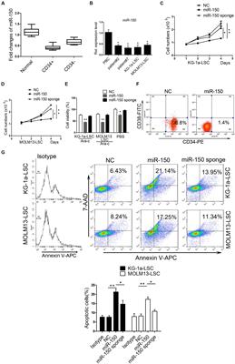 miR-150 Suppresses the Proliferation and Tumorigenicity of Leukemia Stem Cells by Targeting the Nanog Signaling Pathway